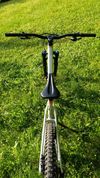 Canyon Torque AL7 mullet