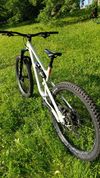 Canyon Torque AL7 mullet