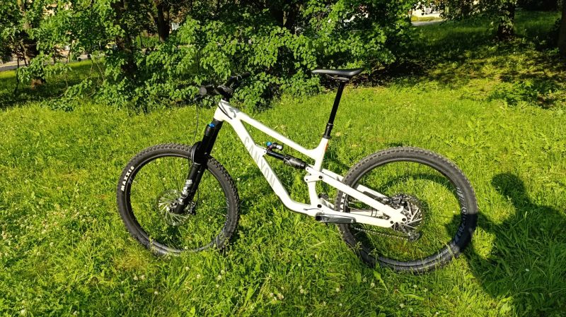 Canyon Torque AL7 mullet