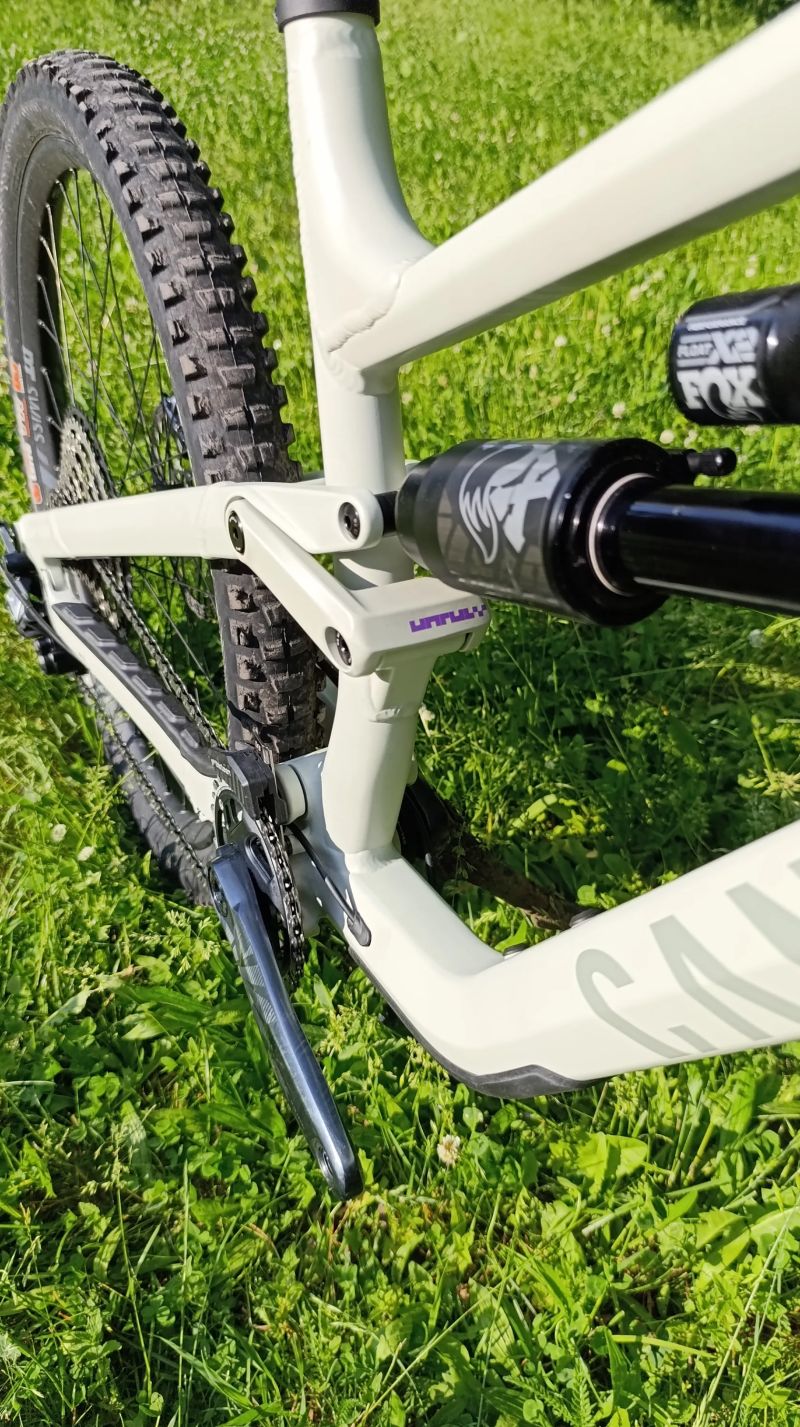 Canyon Torque AL7 mullet