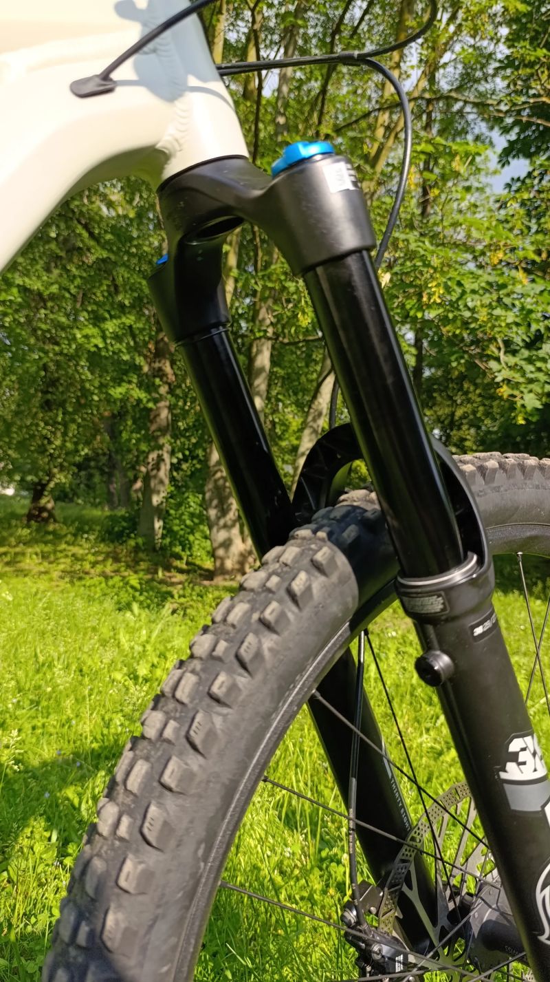 Canyon Torque AL7 mullet
