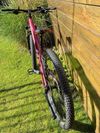 Scott Contessa Scale 40