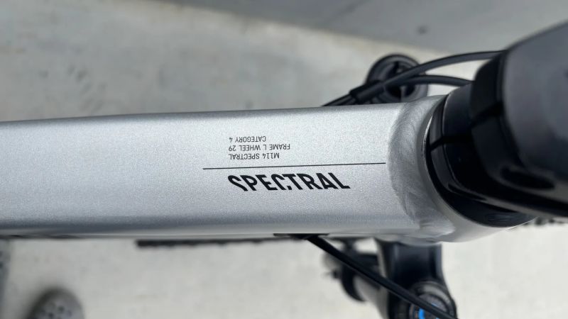 Canyon Spectral 29 AL 6
