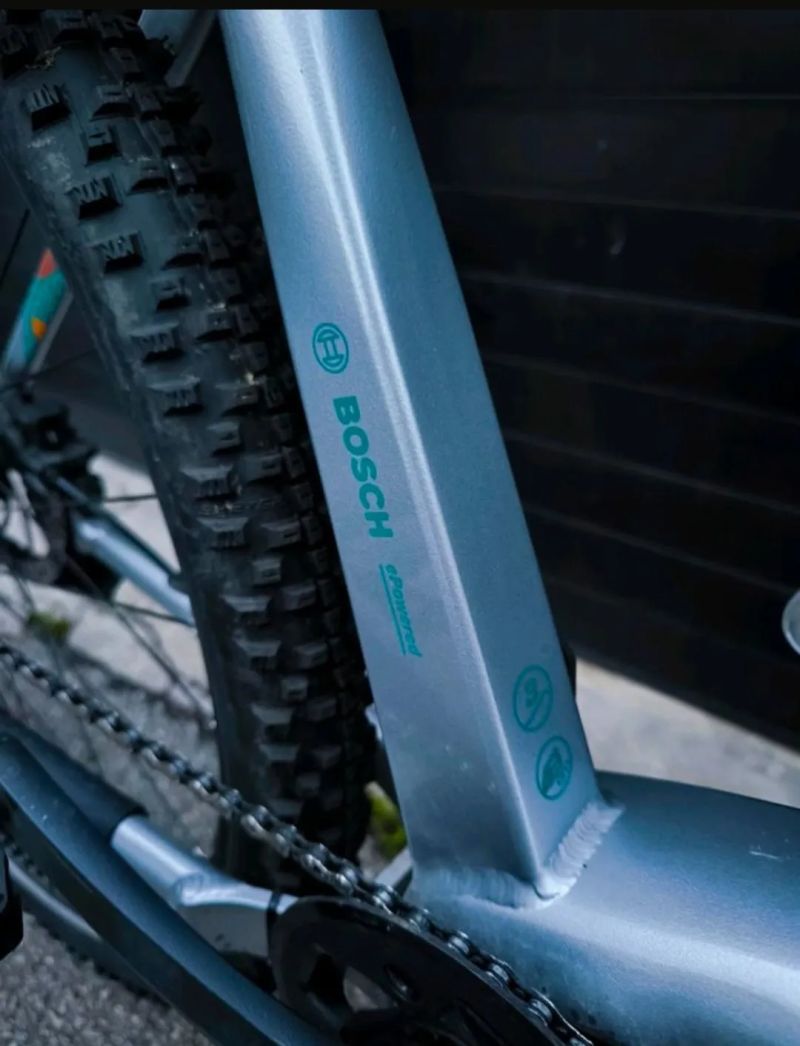 Corratec E-Power X-Vert LTD Gent