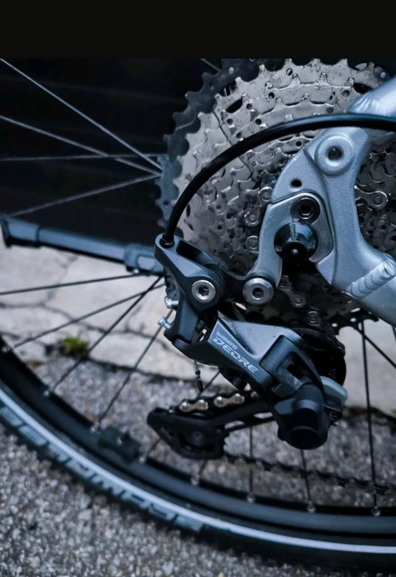 Corratec E-Power X-Vert LTD Gent