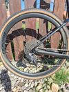 Specialized Diverge Expert Carbon 