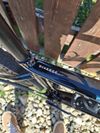 Specialized Diverge Expert Carbon 