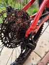 Specialized Turbo Levo Alloy