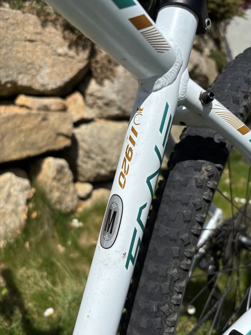 Scott Scale 920