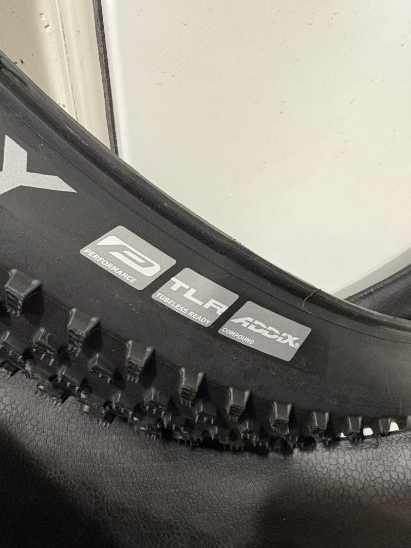 Plášť Schwalbe Racing Ray Performance Addix TLR 29 x 2,25 MTB kevlar