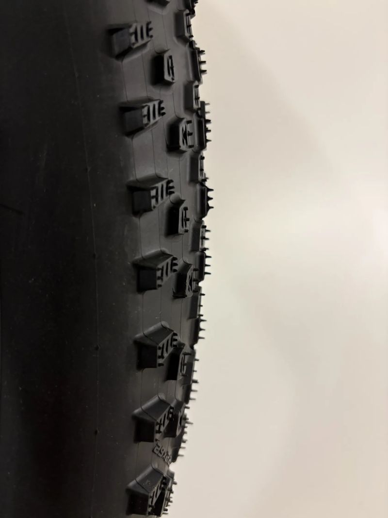 Plášť Schwalbe Racing Ray Performance Addix TLR 29 x 2,25 MTB kevlar