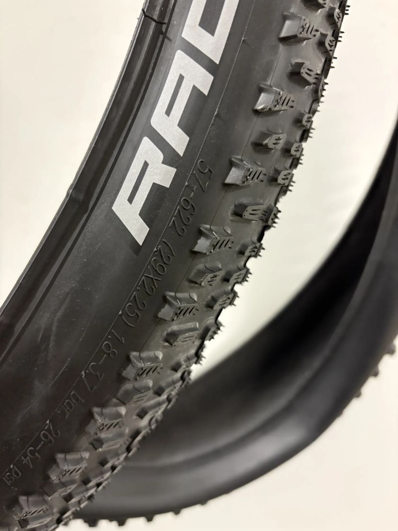 Plášť Schwalbe Racing Ray Performance Addix TLR 29 x 2,25 MTB kevlar
