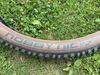 Schwalbe Nobby Nic a Wicked Will