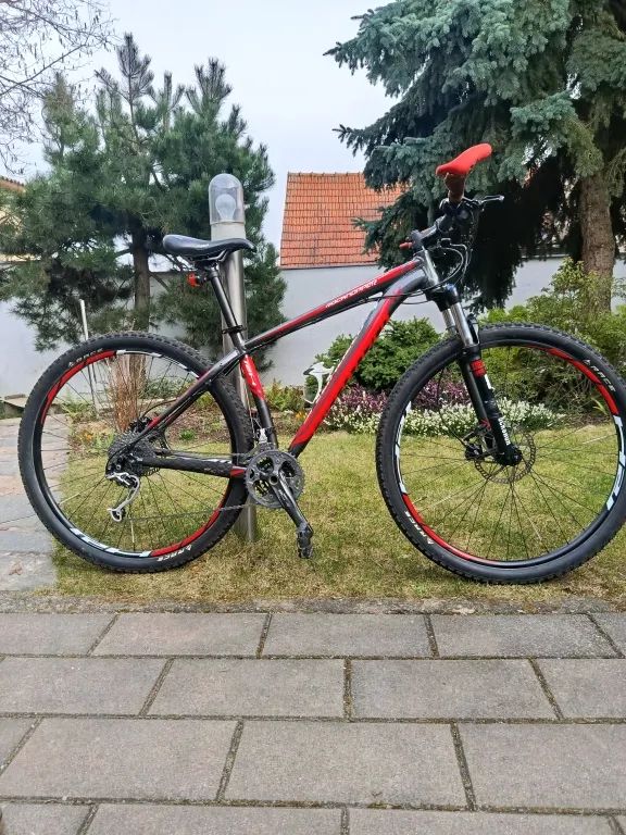 Specialized Rockhopper Comp