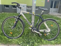 Krosové / trekové kolo Genesis Kentucky, 21 převodů – velikost 54 (L)