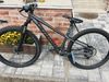 Specialized Rockhopper Comp