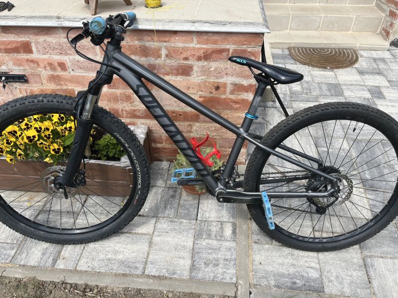 Specialized Rockhopper Comp
