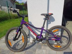 Kellys Lumi 30