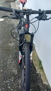 Spyder