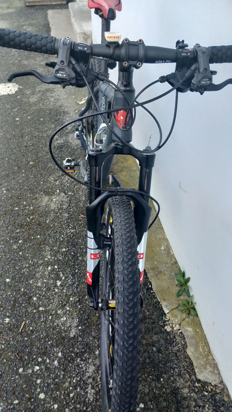 Spyder