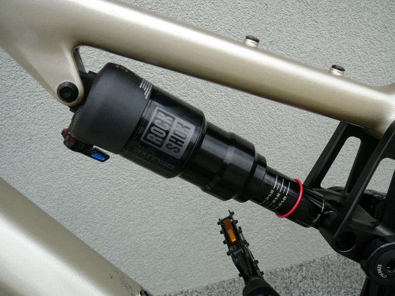 CTM Zynk GX Xpert