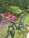 Specialized ISO 4210-2:2014 m
