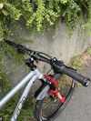 RB CR 290