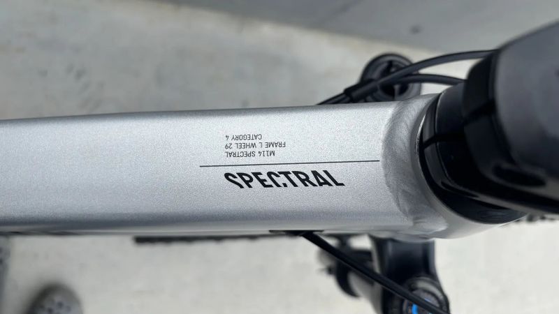 Canyon Spectral 29 AL 6