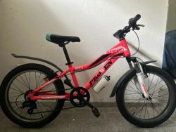 PROWEN SPED 20