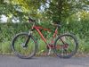 Kellys TNT 70