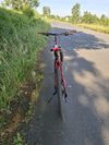 Kellys TNT 70