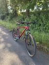 Kellys TNT 70