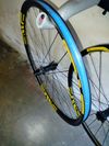 Enve XD 29"