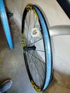 Enve XD 29"