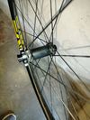 Enve XD 29"