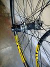 Enve XD 29"