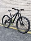 Specialized Stumpjumper Comp 29", vel. M, 2017