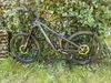 Canyon strive CFR 2022 underdog