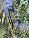 Canyon strive CFR 2022 underdog