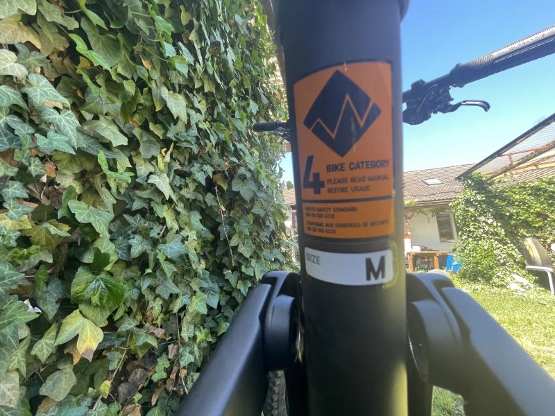 Canyon strive CFR 2022 underdog