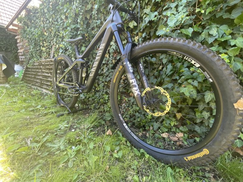 Canyon strive CFR 2022 underdog