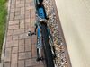 Focus Izalco vel. M
