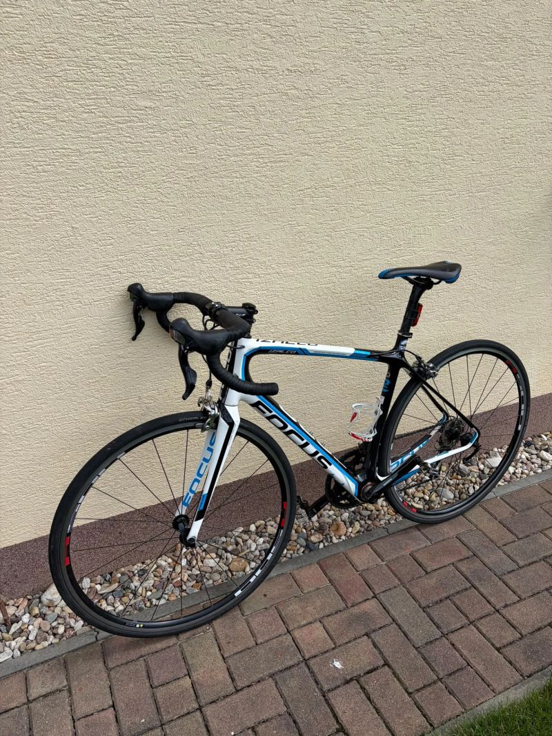 Focus Izalco vel. M