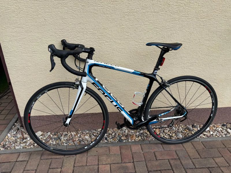 Focus Izalco vel. M