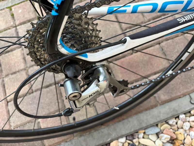 Focus Izalco vel. M