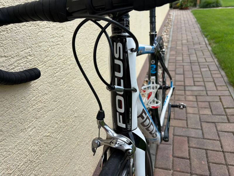 Focus Izalco vel. M