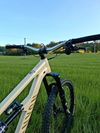 Canyon torque 5