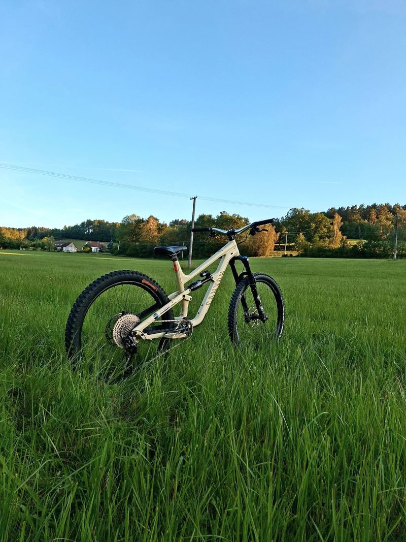 Canyon torque 5