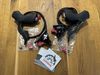 Sram Force D2 eTAP AXS páky+třmeny - nove
