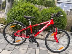 Specialized